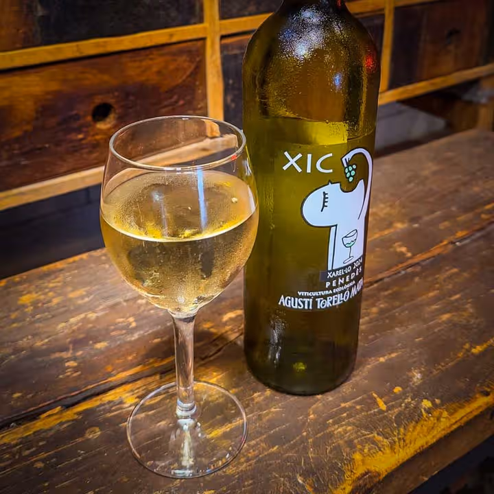White Wine Xic del Mel (glass)