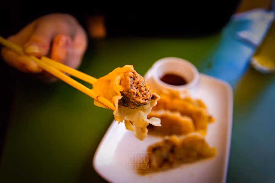 Wagyu Gyoza